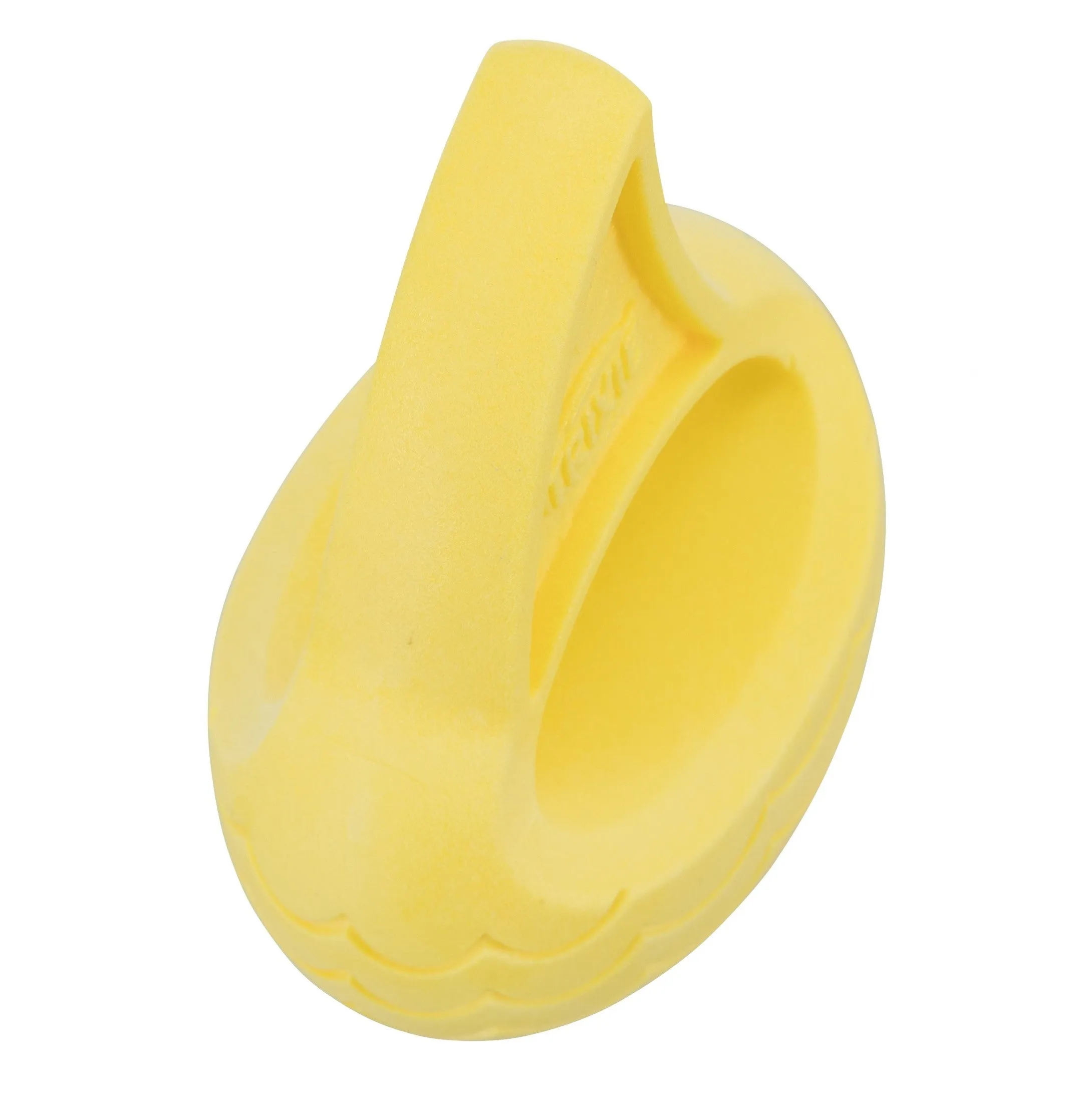 Aqua Dog Toy - Shark Fin