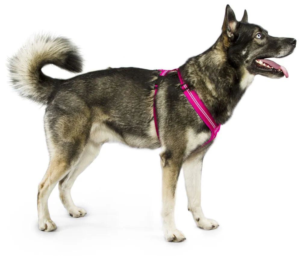 Best Friend Ergonomic dog harness