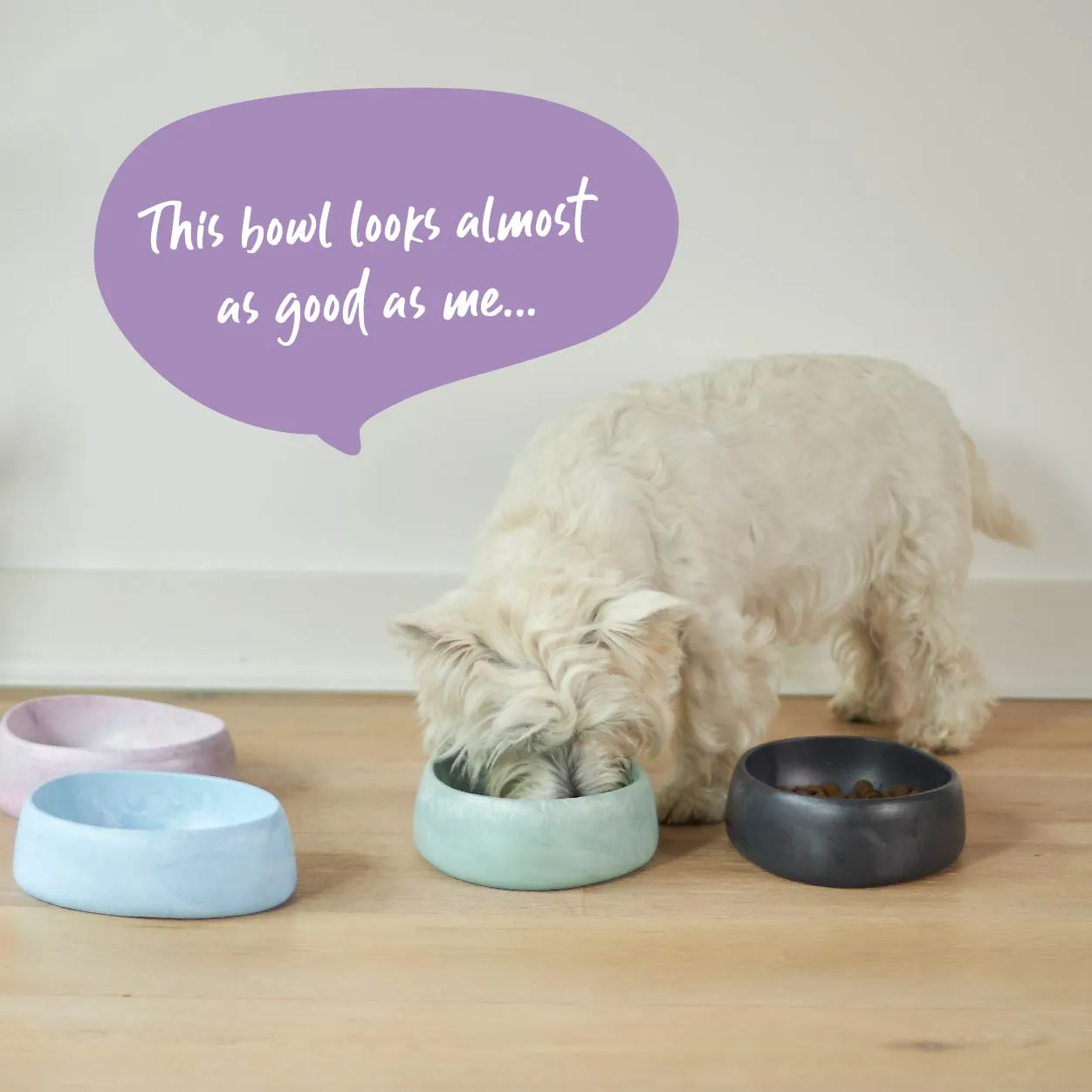 Better Bowl For Dogs - Sage Green