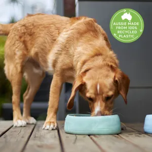 Better Bowl For Dogs - Sage Green