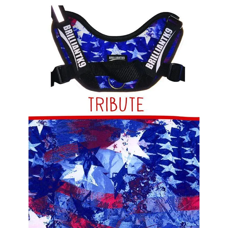 BrilliantK9 Ergonomic Dog Harness Lucy Large