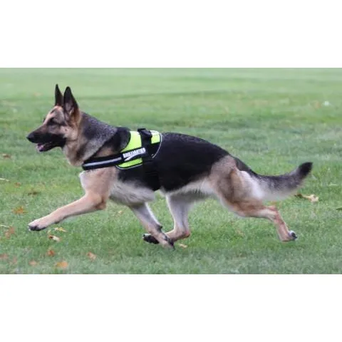 BrilliantK9 Ergonomic Dog Harness Lucy Large