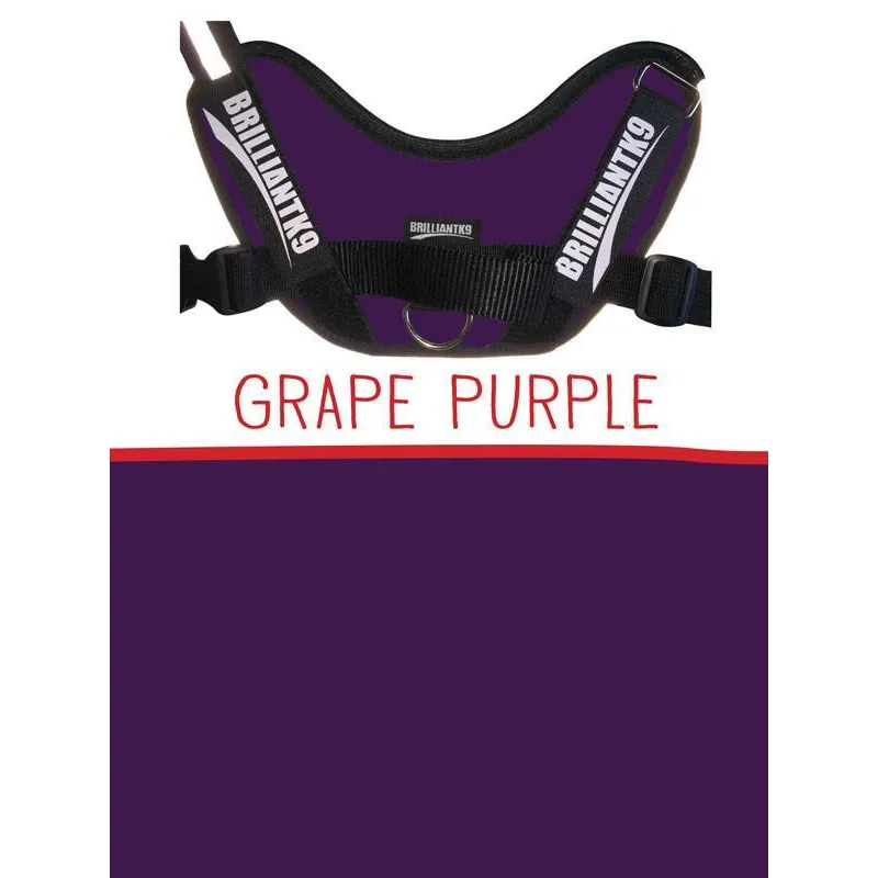 BrilliantK9 Ergonomic Dog Harness Lucy Large