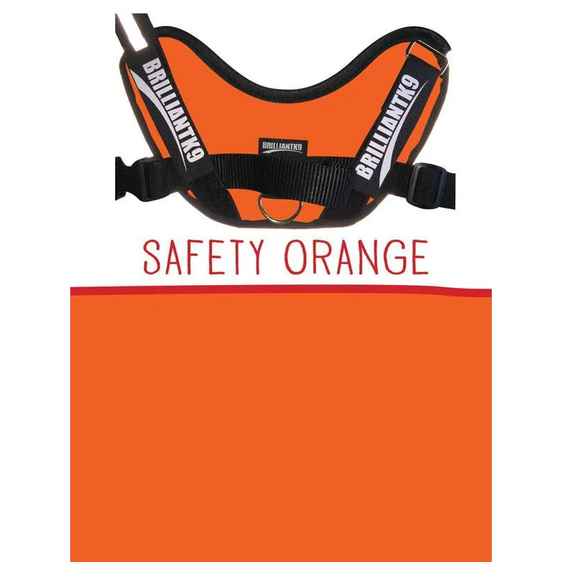 BrilliantK9 Ergonomic Dog Harness Lucy Large