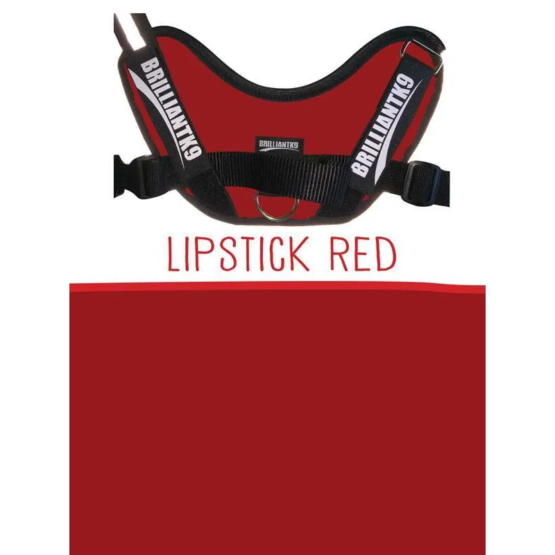 BrilliantK9 Ergonomic Dog Harness Lucy Large