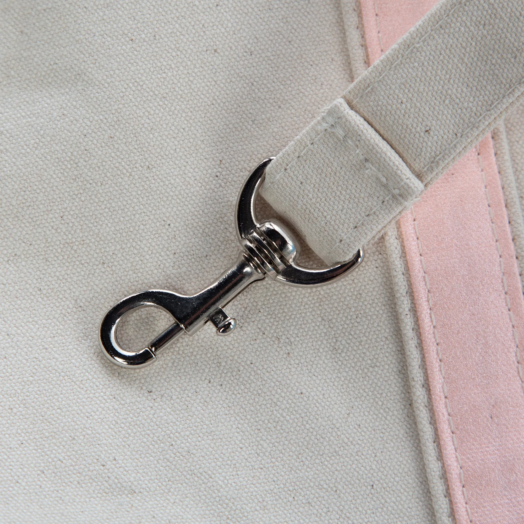 Canvas Pet Carrier