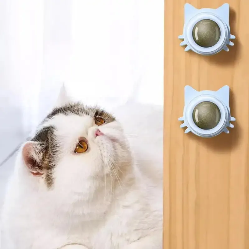 Catnip Lollipop Ball Toy for Cats