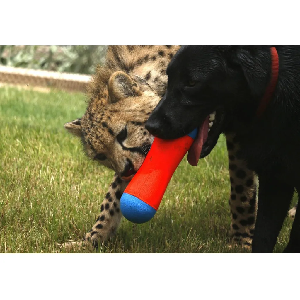 Chuckit! Tumble Bumper Toy For Dogs