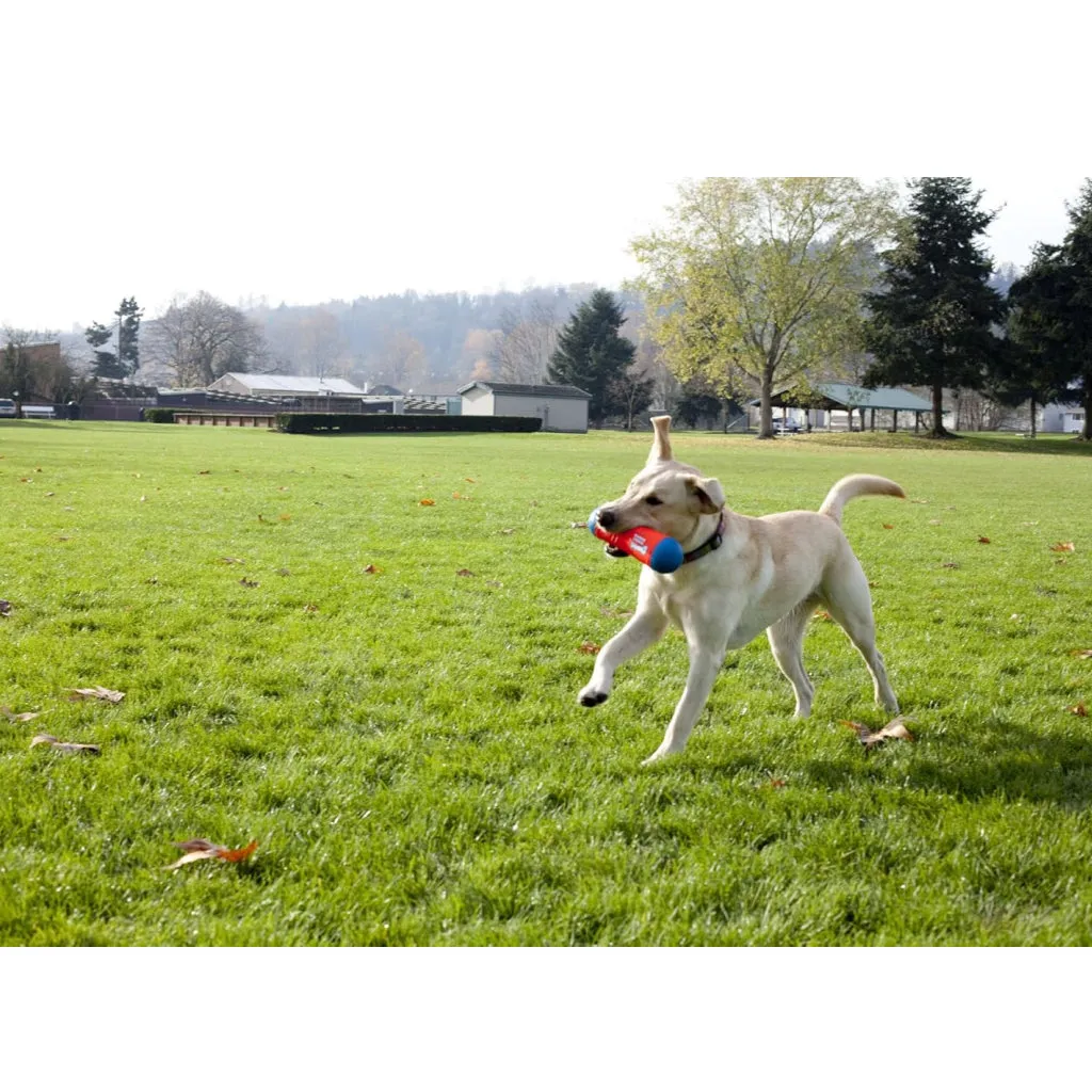 Chuckit! Tumble Bumper Toy For Dogs