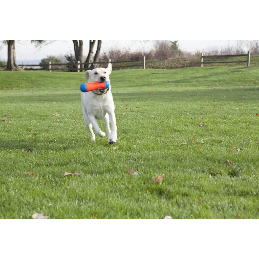 Chuckit! Tumble Bumper Toy For Dogs