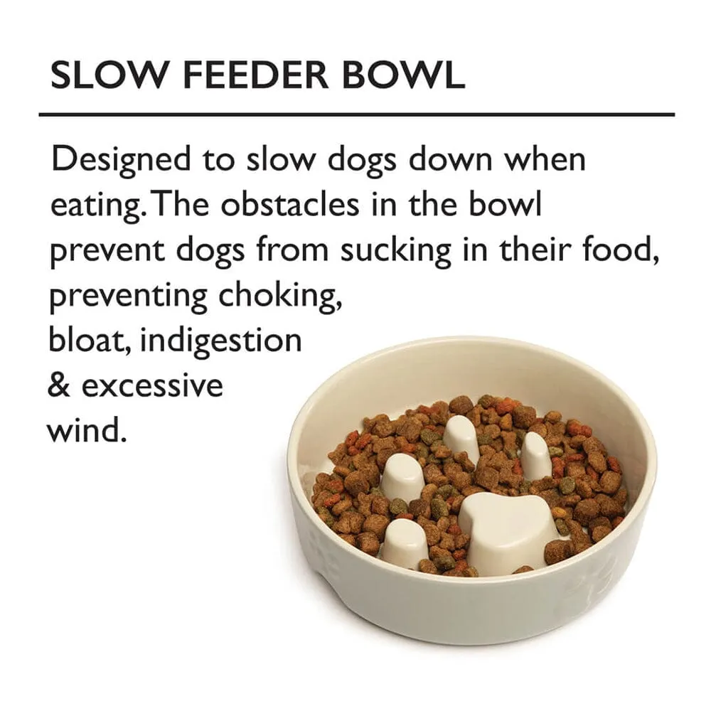 Classic 2 Piece Dog Slow Feeder & Water Bowl Set - 20cm - Grey