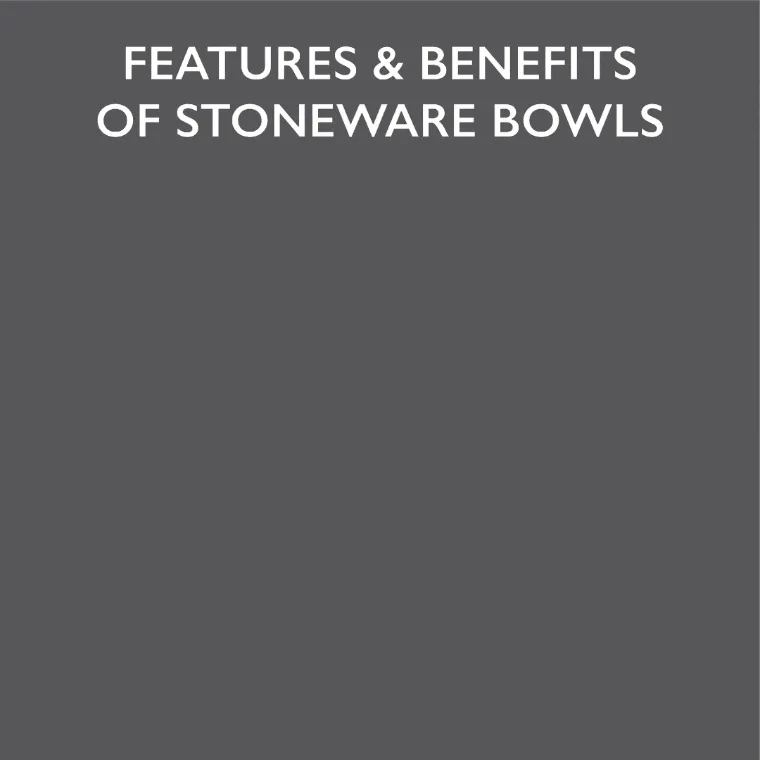 Classic 2 Piece Flat Faced Dog Bowl & Water Bowl
