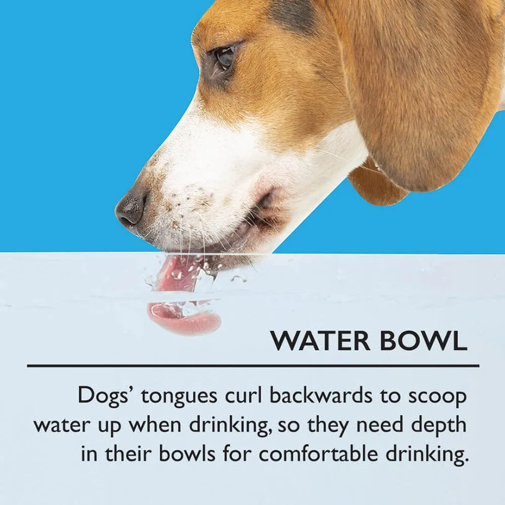 Classic 2 Piece Flat Faced Dog Bowl & Water Bowl