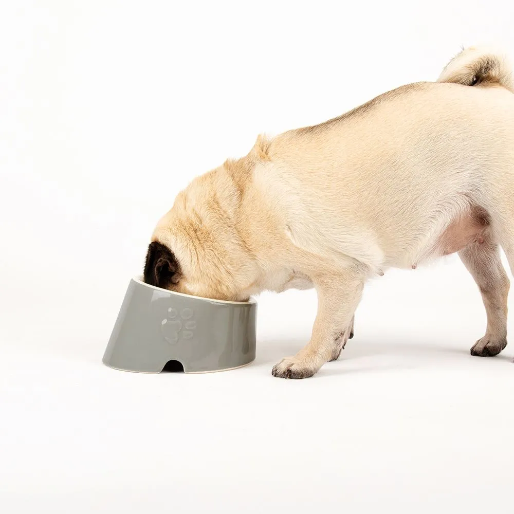 Classic 2 Piece Flat Faced Dog Bowl & Water Bowl