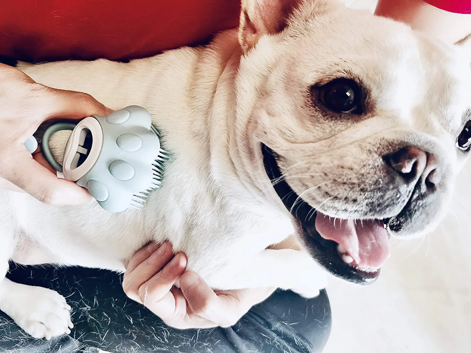 Ctpeng Dog Bath Brush Pet Shampoo Brush for Soothing Massaging Washing Deshedding