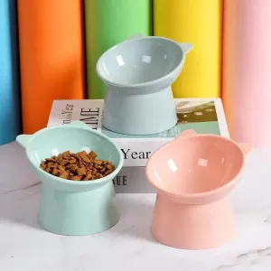 Elevated Pet Food Bowl with Tilt High Bottom
