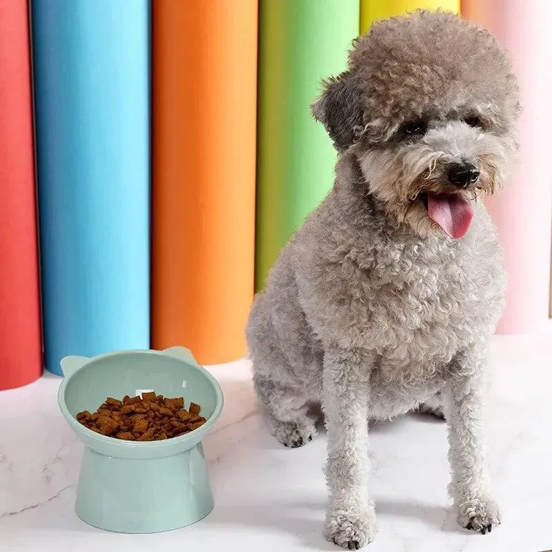 Elevated Pet Food Bowl with Tilt High Bottom