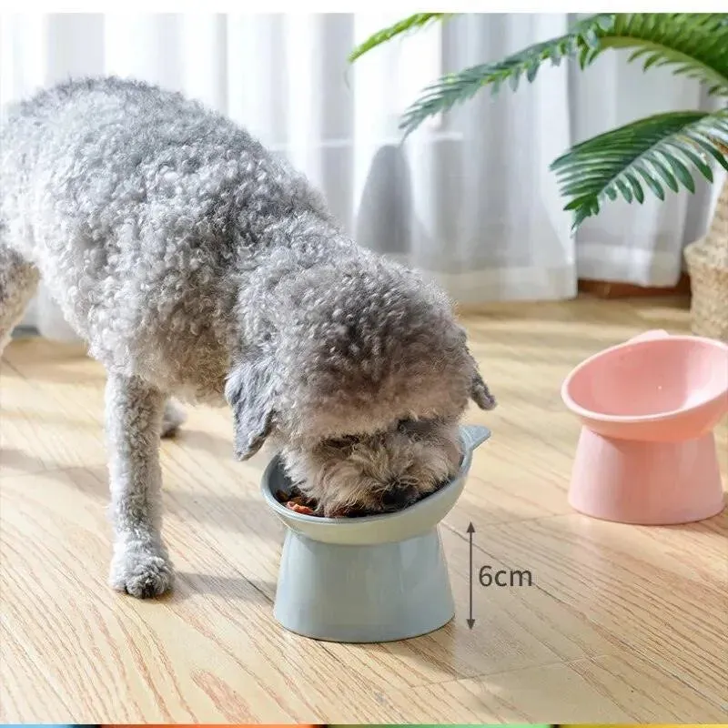 Elevated Pet Food Bowl with Tilt High Bottom
