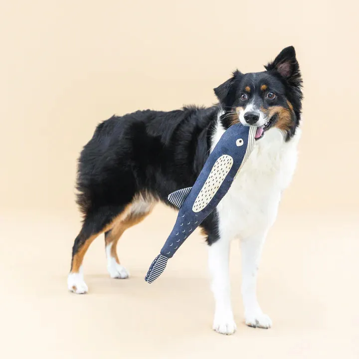 Fringe Dog Toy Canvas There She Blows