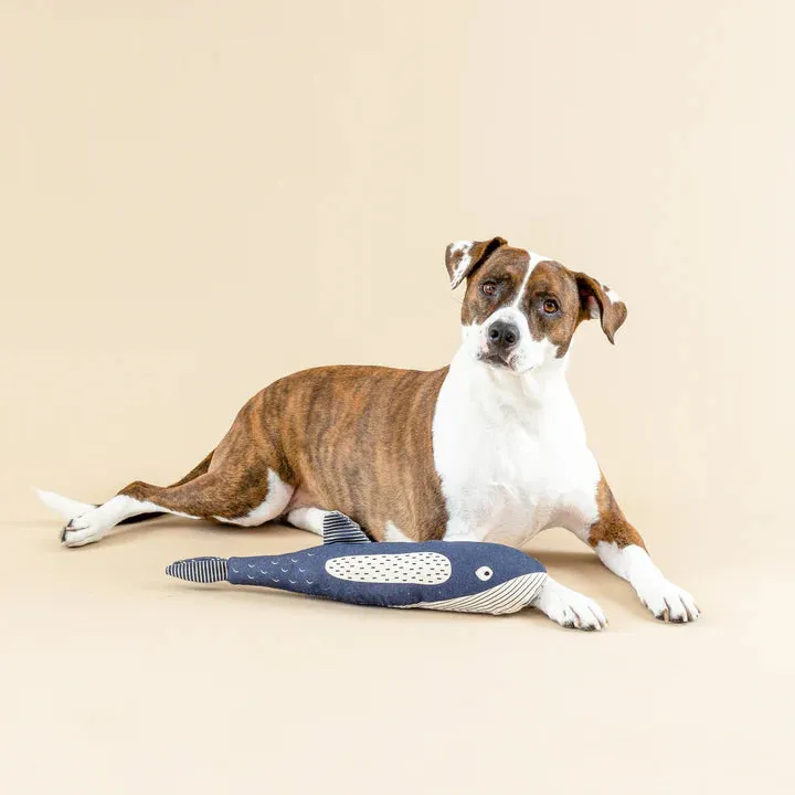 Fringe Dog Toy Canvas There She Blows