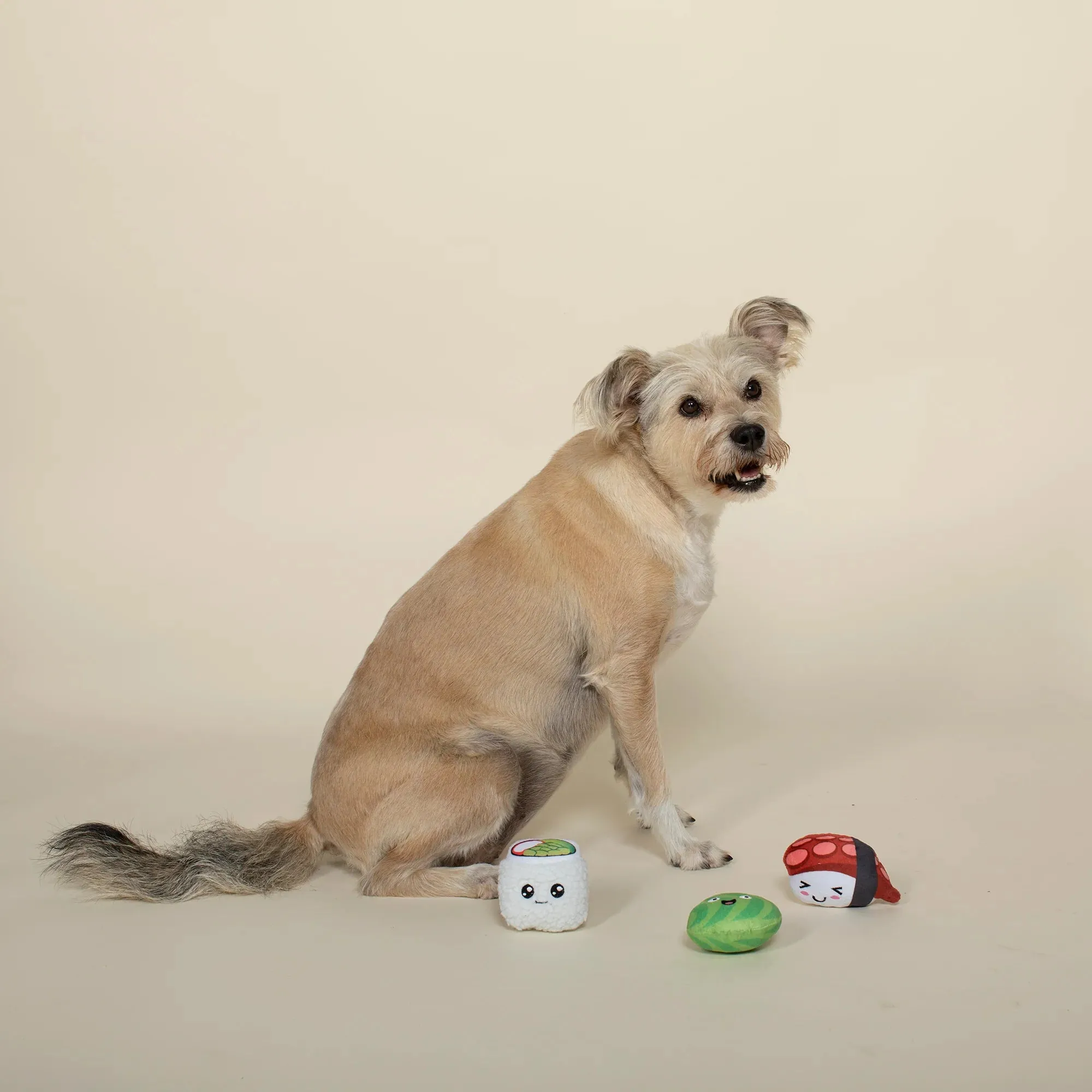 Fringe Dog Toy Sushiholic (Set of 3)