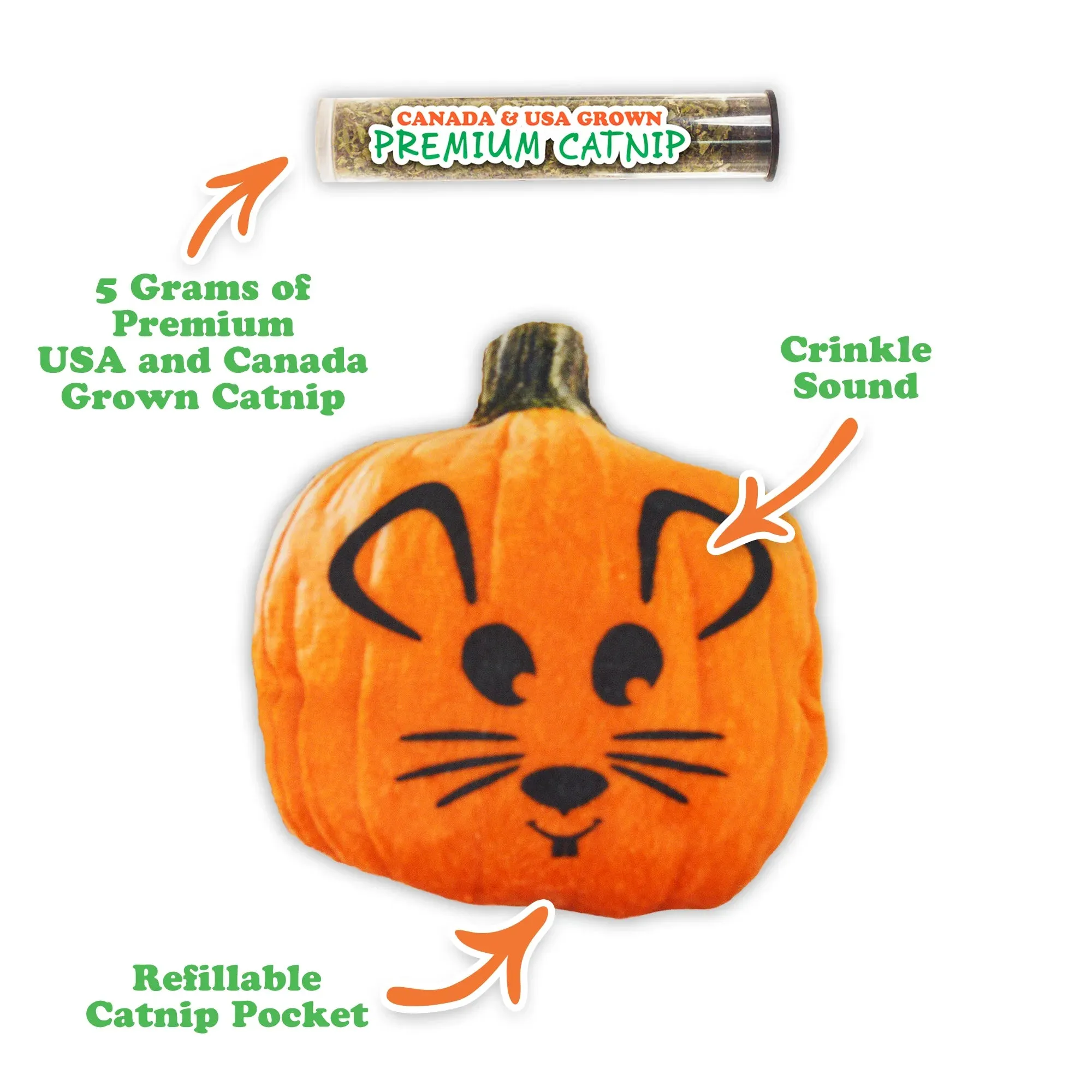Get Spooked Pumpkin Refillable Cat Toy