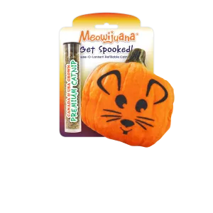Get Spooked Pumpkin Refillable Cat Toy