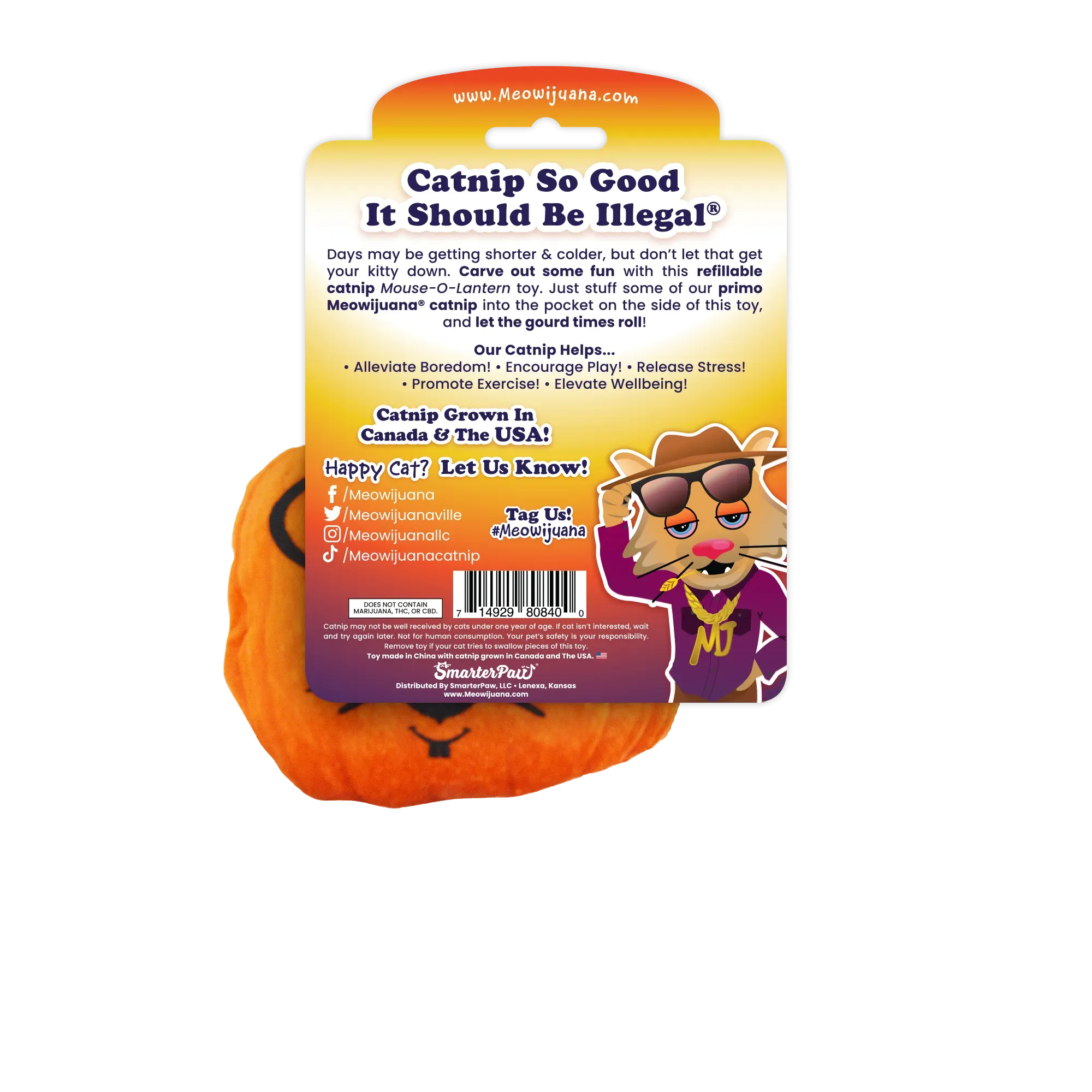 Get Spooked Pumpkin Refillable Cat Toy