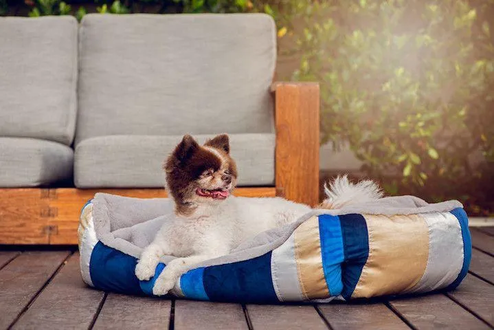 Golden Waves Pet Bed Soft Calming Pet Bed, Anti-Anxiety, Nonskid Bottom, Hypoallergenic, Premium Comfort Plus Pet Bed for Medium, Small Dogs/Cats, SUPPORTS UP TO 20LBS (23"x21"x5")