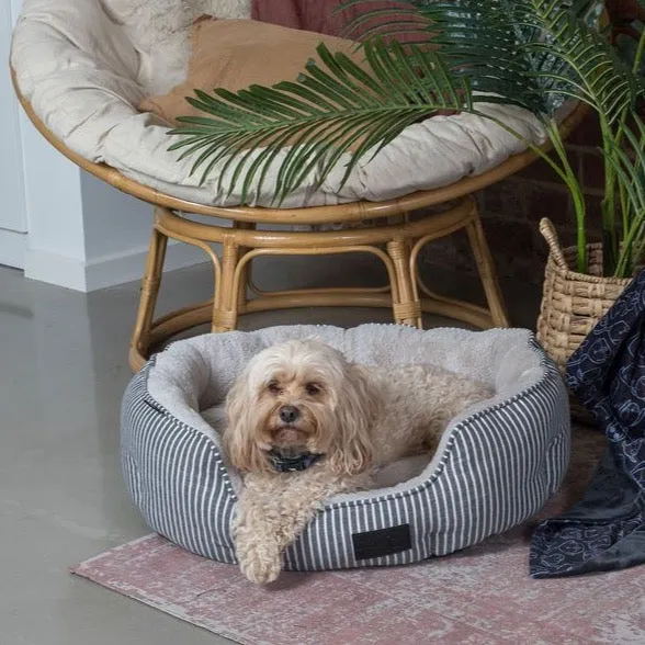 Hamptons Stripe Shell Bed