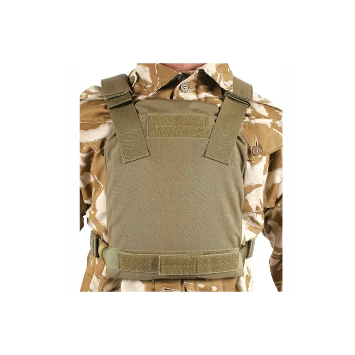 Low Vis Plate Carrier