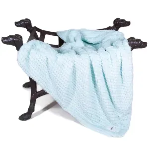 Paris Dog Blanket Ice