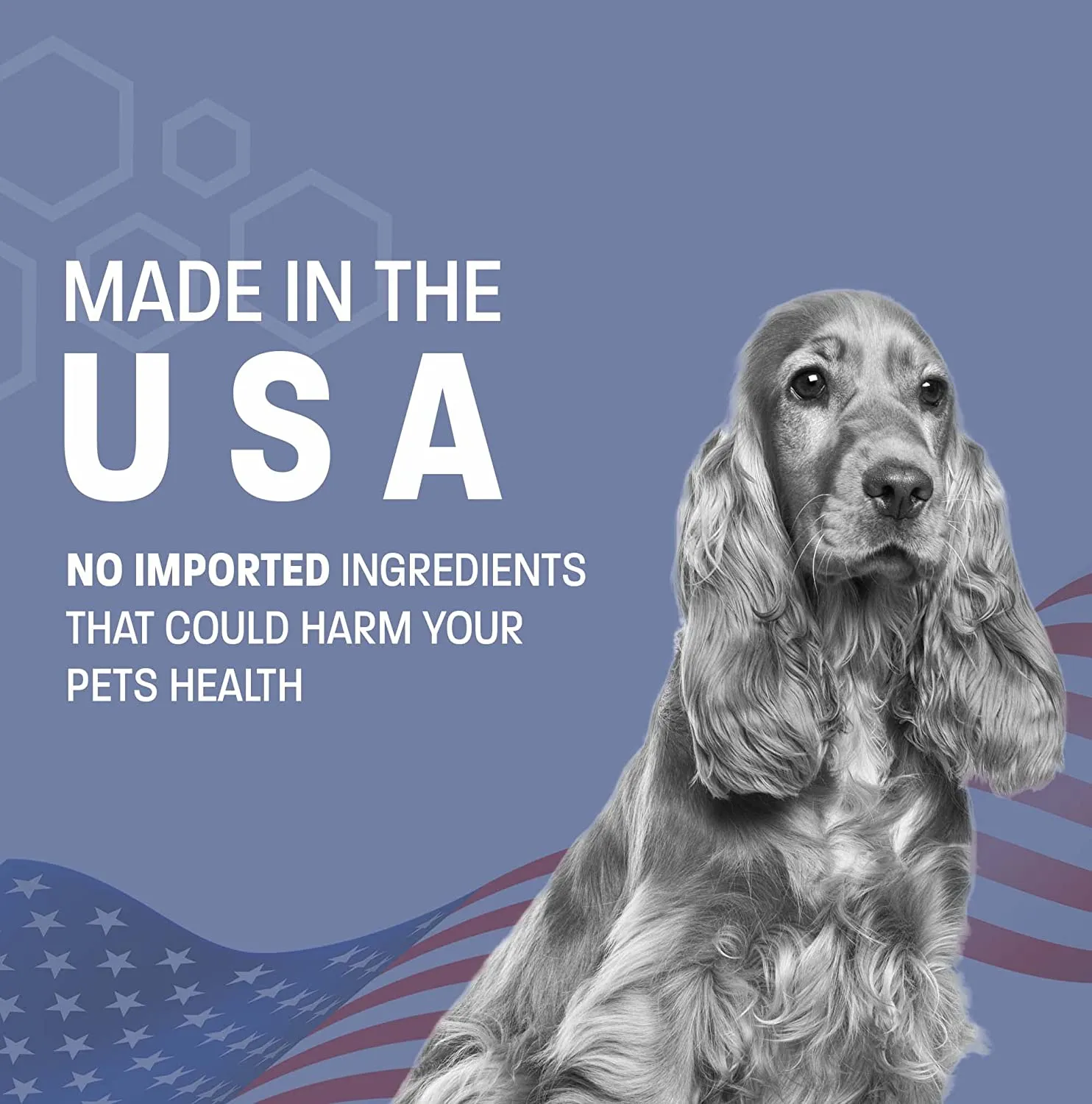 Pet Health Pros; Chlorhexidine Gentle Care Wipes for Dogs and Cats; Itchy Skin Relief, Medicated Care, Fresh Scent; 50 Counts, Cucumber Melon Scent