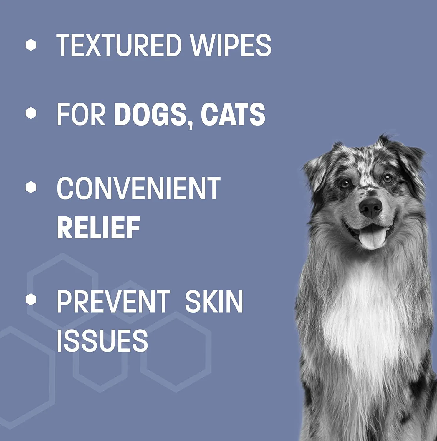 Pet Health Pros; Chlorhexidine Gentle Care Wipes for Dogs and Cats; Itchy Skin Relief, Medicated Care, Fresh Scent; 50 Counts, Cucumber Melon Scent