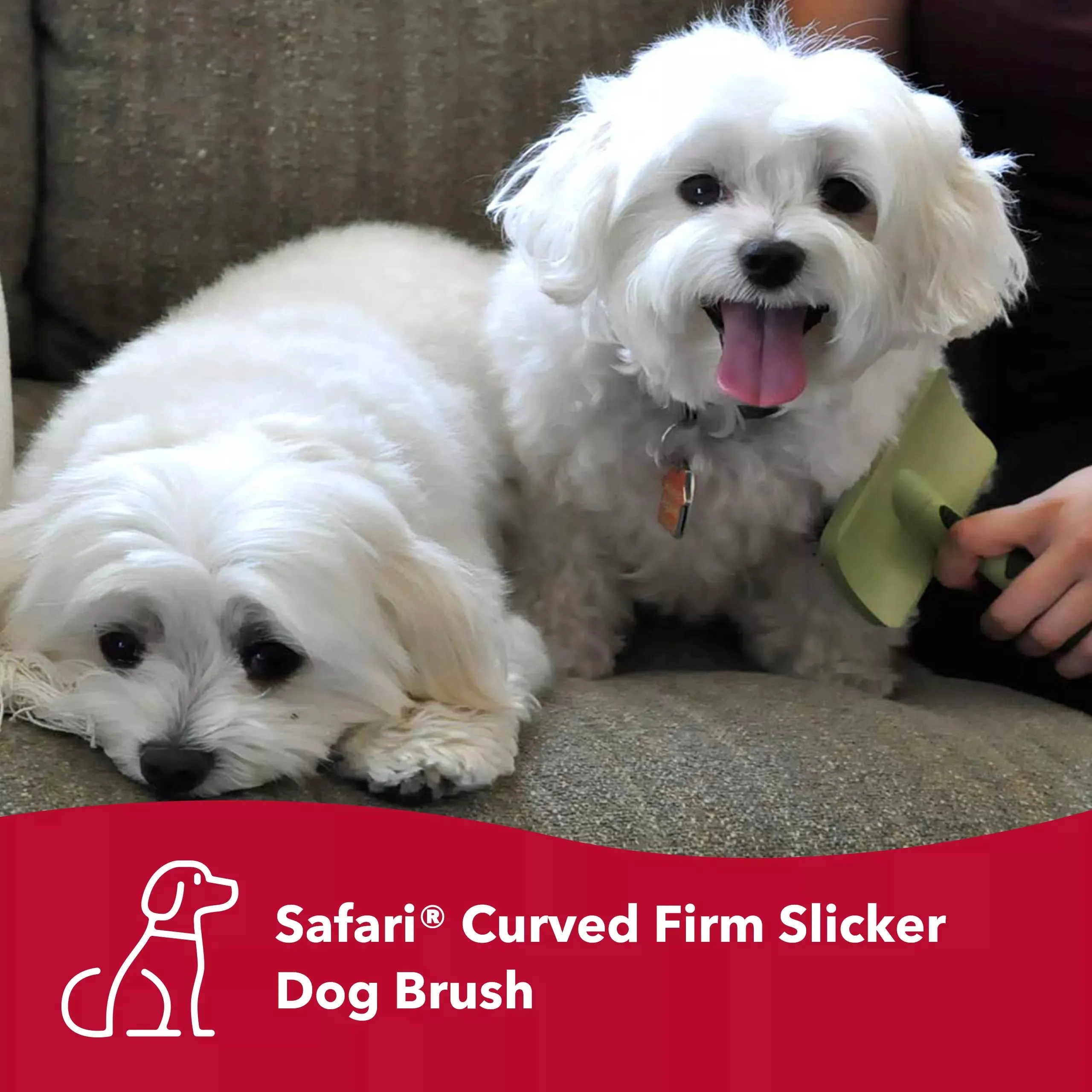 Safari Dog Curved Firm Slicker Brush