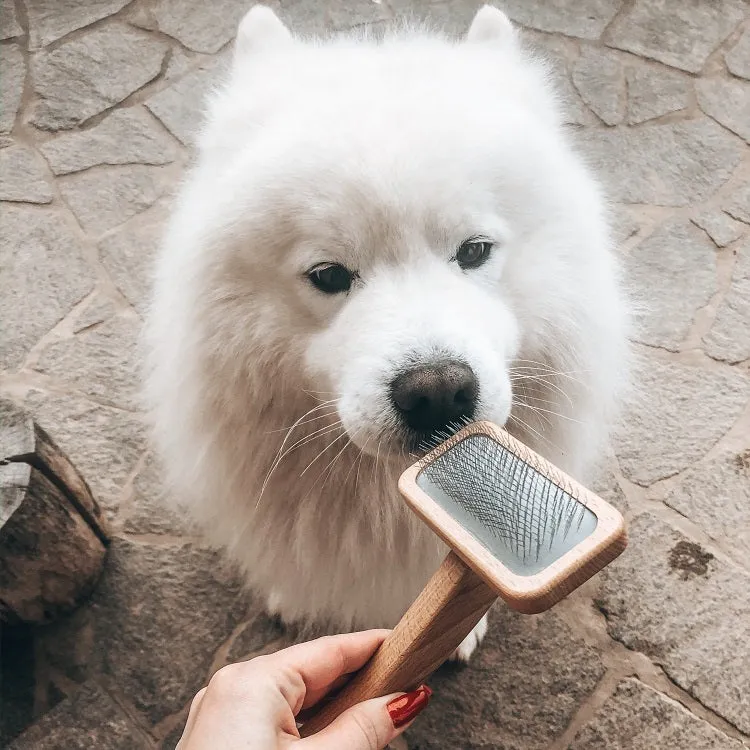 Slicker brush