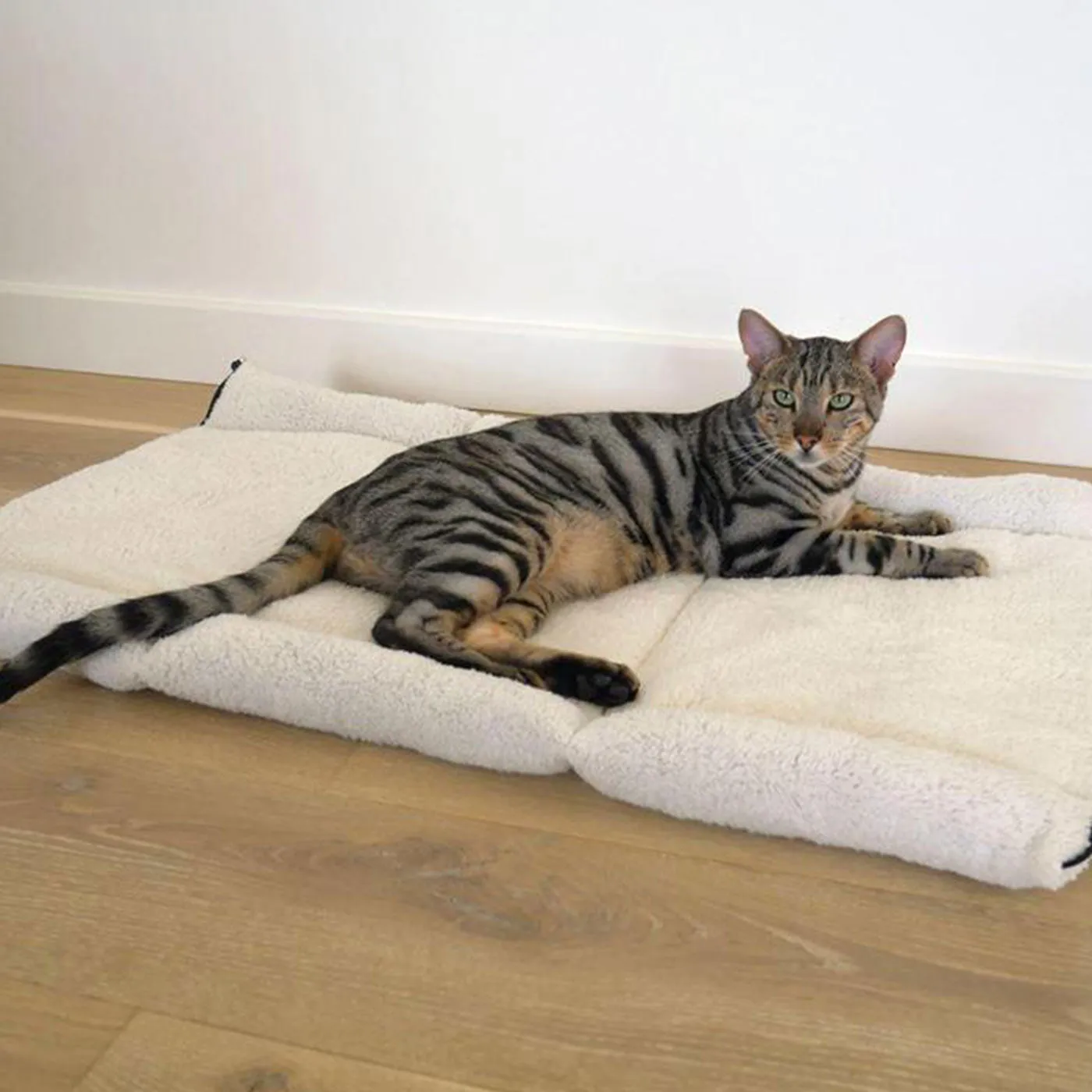 Snuggle Plush 2 in 1 Cat Comfort Den