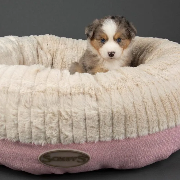 The Ellen Luxury Donut Dog Bed