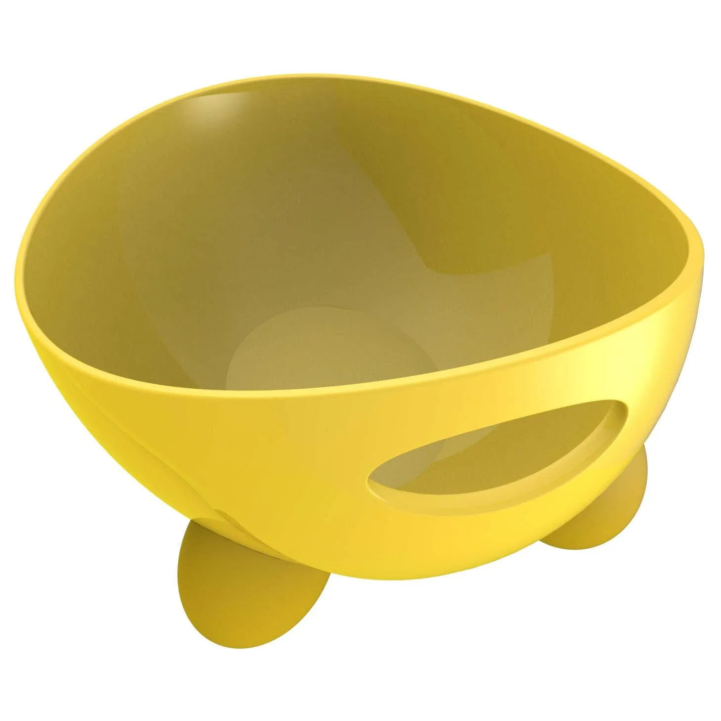 Tilted dog bowl ergonomic