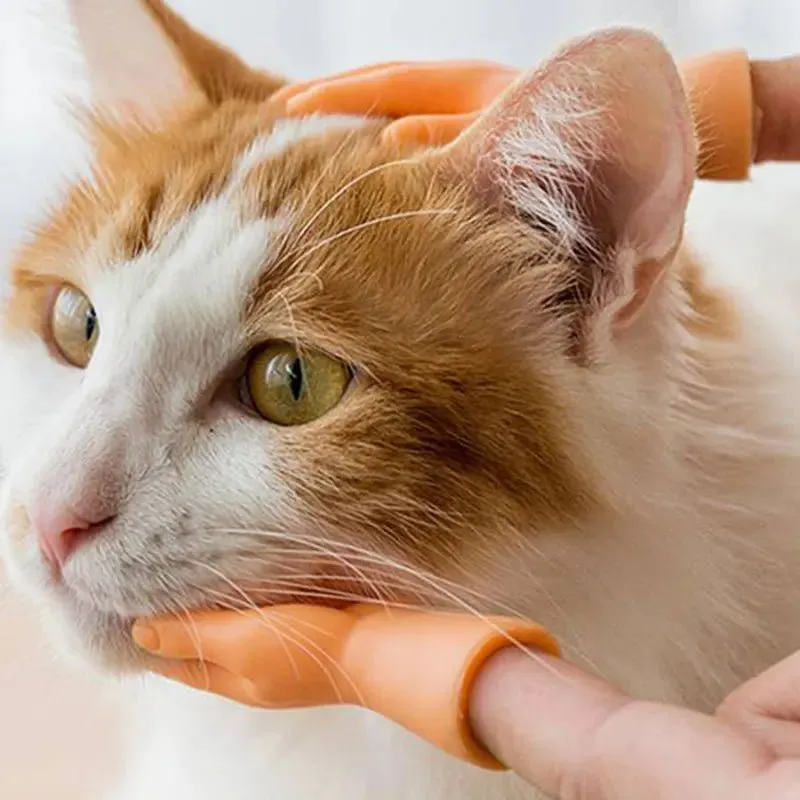 Tiny Hands Finger Puppets – Mini Novelty Toys for Playful Cat Teasing & Fun Gifts