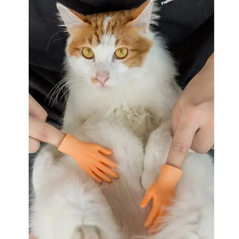 Tiny Hands Finger Puppets – Mini Novelty Toys for Playful Cat Teasing & Fun Gifts