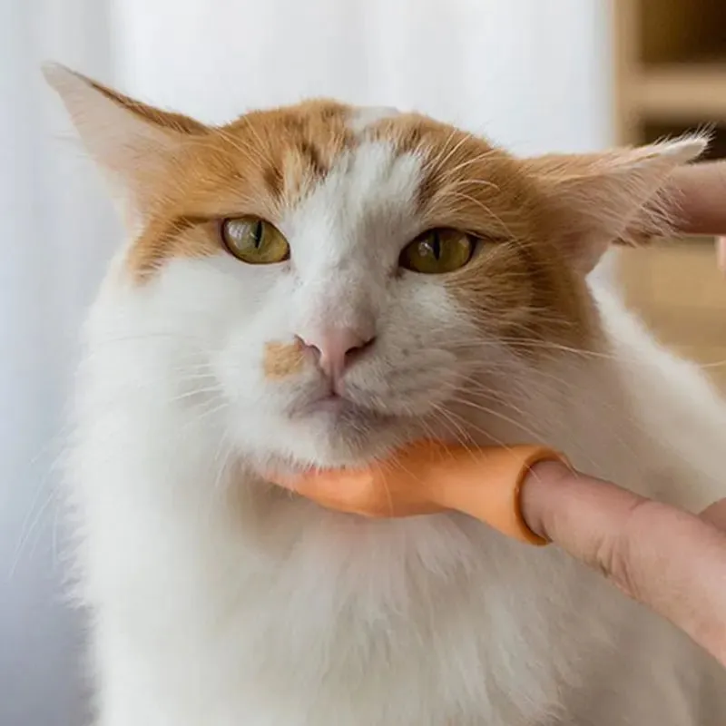 Tiny Hands Finger Puppets – Mini Novelty Toys for Playful Cat Teasing & Fun Gifts